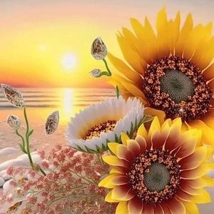 Meet your Posher, Ruth